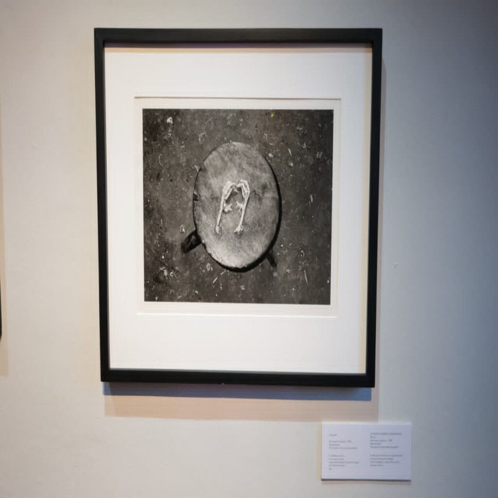 Exposición fotográfica Territorios de la Imagen muestra un revelador recorrido histórico y social de Chiapas en el Museo Archivo de la Fotografía de la CDMX.